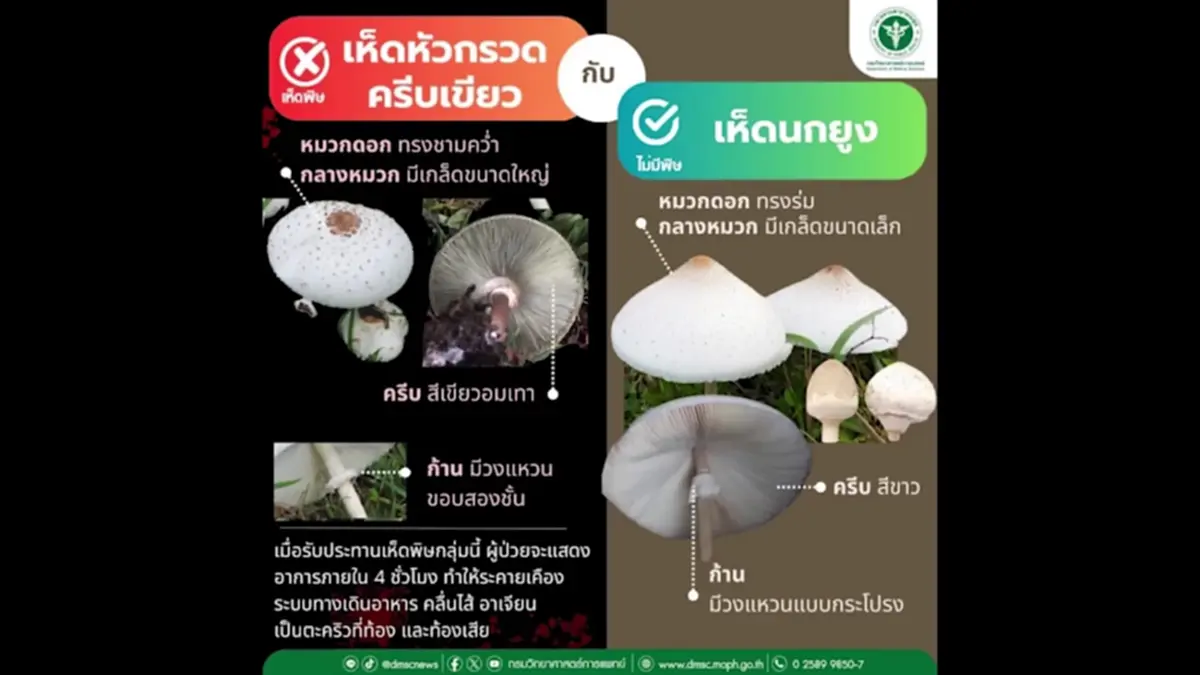 หาม 5 แรงงานพม่าส่ง รพ.ลำปาง หลังเปิบแกงเห็ดพิษบนดอยงาว