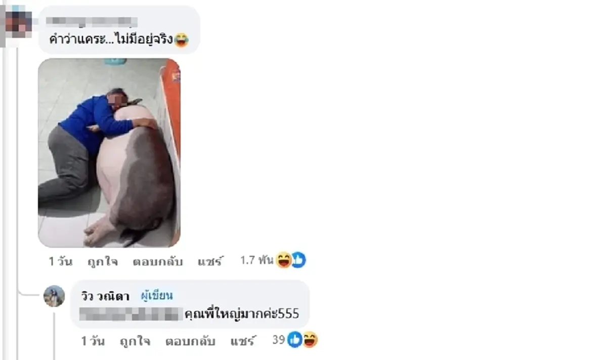 สาวตักไข่ ได้ หมูแคระ สงสัยจะตัวเล็กจริงไหม ชาวเน็ตแห่เฉลยพีกมาก