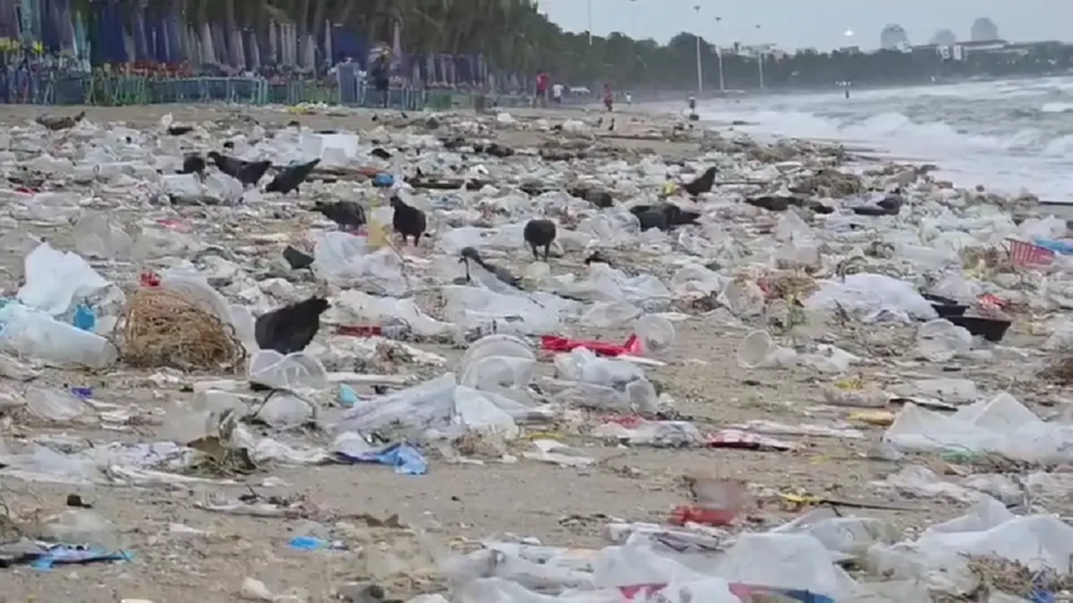 บางแสนอ่วม! ขยะทะเลมหาศาลลอยเกยหาดรับหน้าฝน เทศบาลเร่งกวาดวุ่น