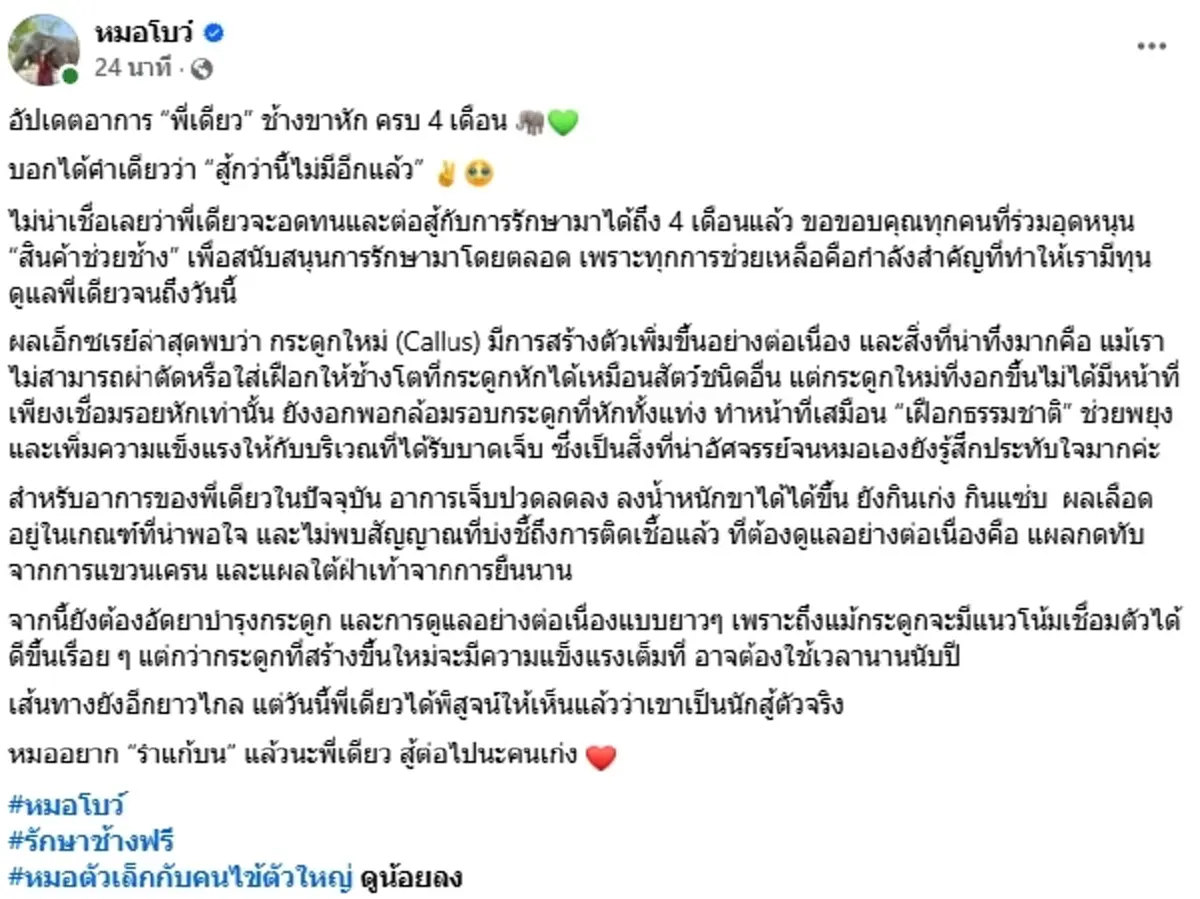 ปาฏิหาริย์มีจริง! อัปเดต "พี่เดียว" ช้างขาหัก 4 เดือน อาการดีขึ้น