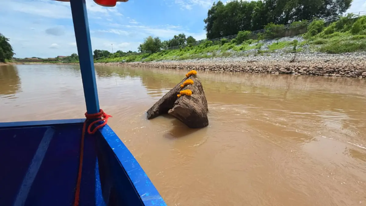 ฮือฮา! แม่น้ำน่านลดฮวบ เผยโฉม "ตะเคียนพันปี" กลางแม่น้ำ