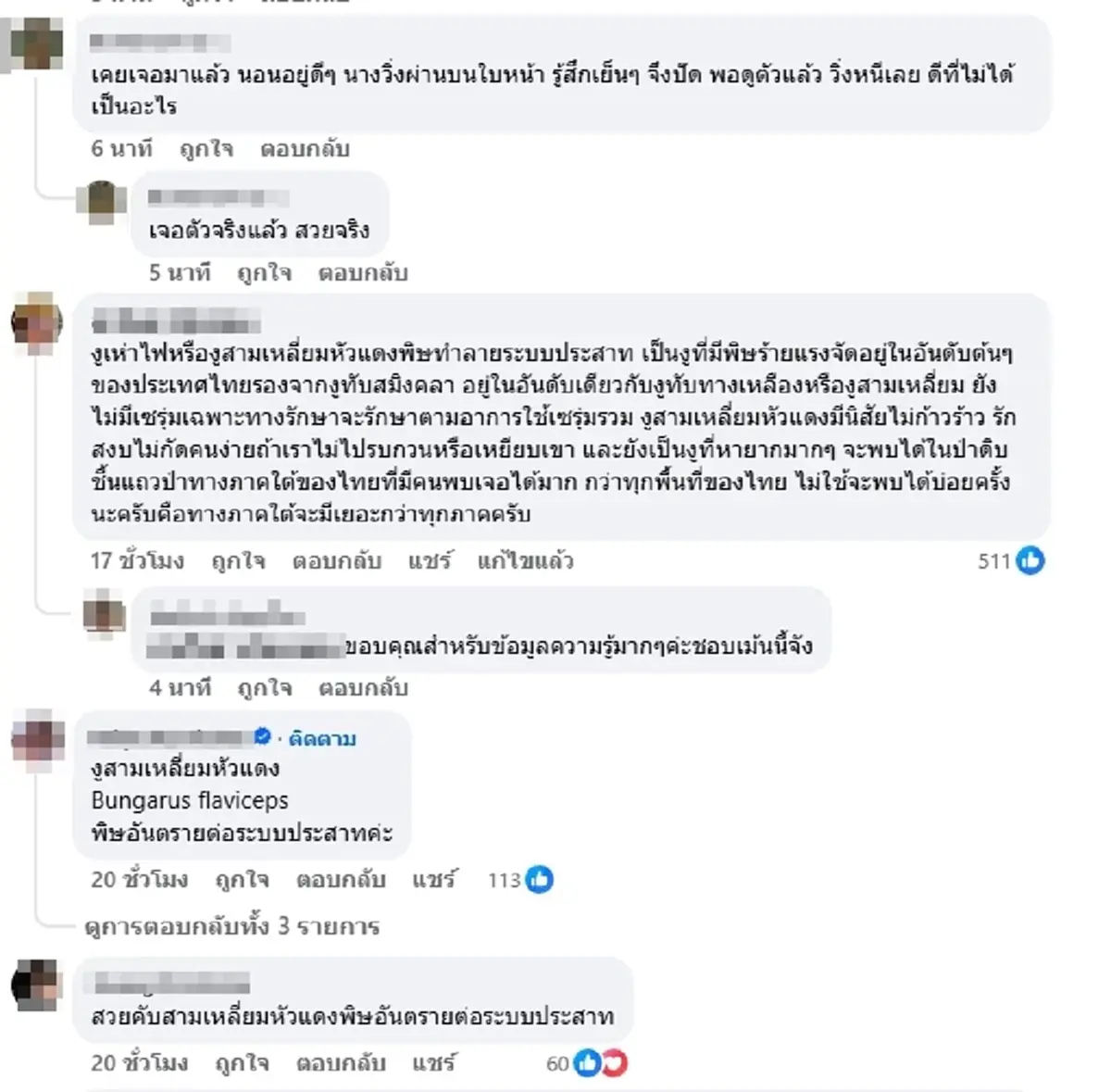 งูหัวแดงสีสวยสะดุดตา แต่พิษร้ายต่อระบบประสาท ผู้รู้เฉลยให้แล้ว