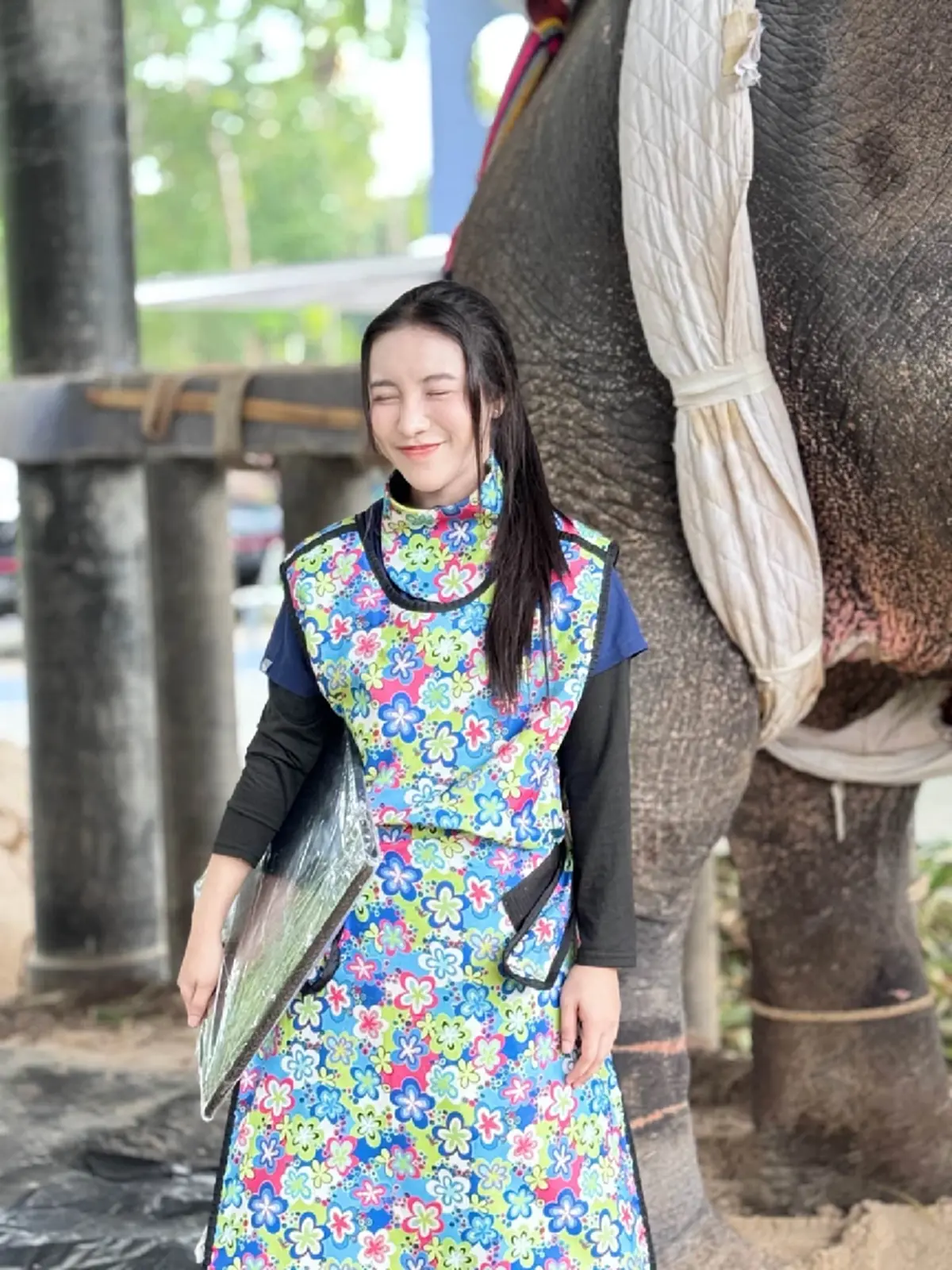 ปาฏิหาริย์มีจริง! อัปเดต "พี่เดียว" ช้างขาหัก 4 เดือน อาการดีขึ้น