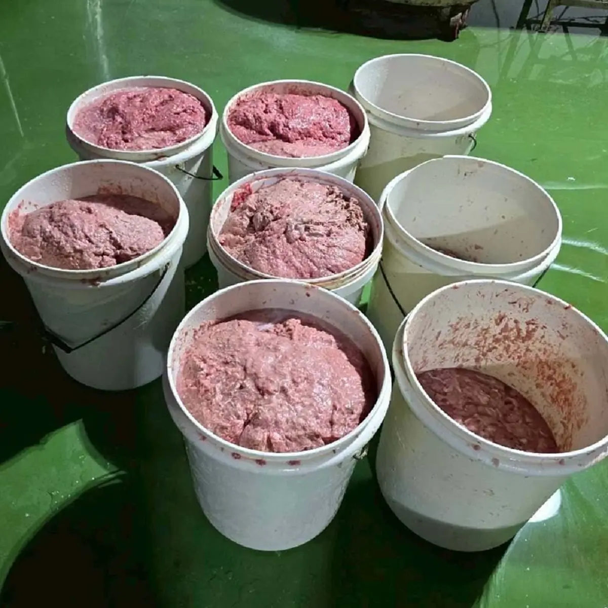 สภาพโรงงานเถื่อน ลูกชิ้น-หมูยอ ไร้ อย. ขายเดือนละ30ตัน ทั่วประเทศ
