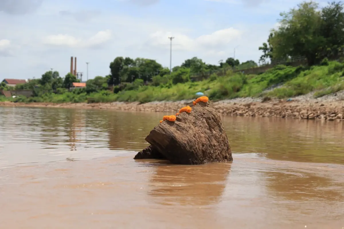 ฮือฮา! แม่น้ำน่านลดฮวบ เผยโฉม "ตะเคียนพันปี" กลางแม่น้ำ