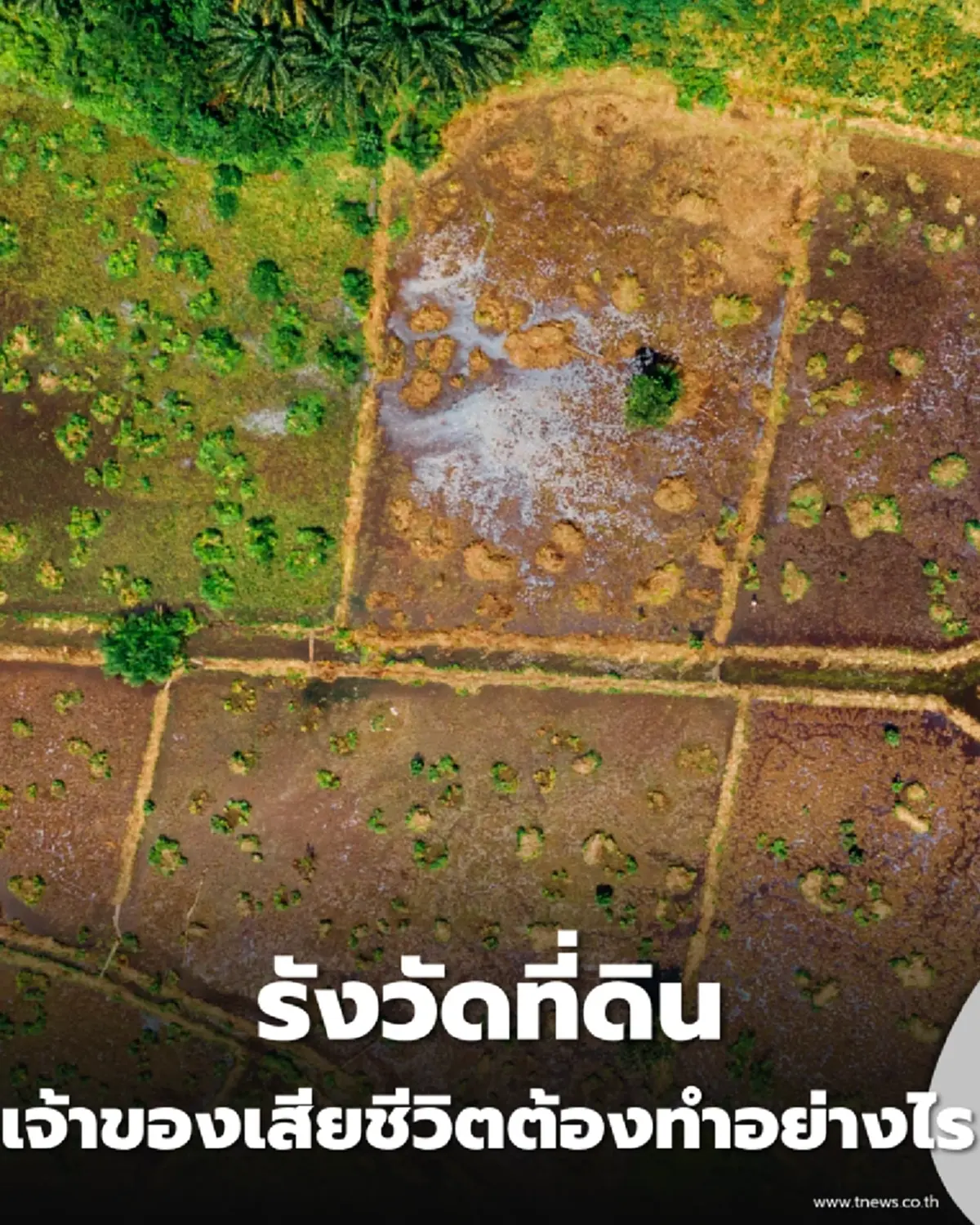 วิธีเตรียมตัวรังวัดที่ดินฉบับสมบูรณ์ เอกสารอะไรบ้างที่ต้องใช้ เจ้าของเสียชีวิตต้องทำอย่างไร 