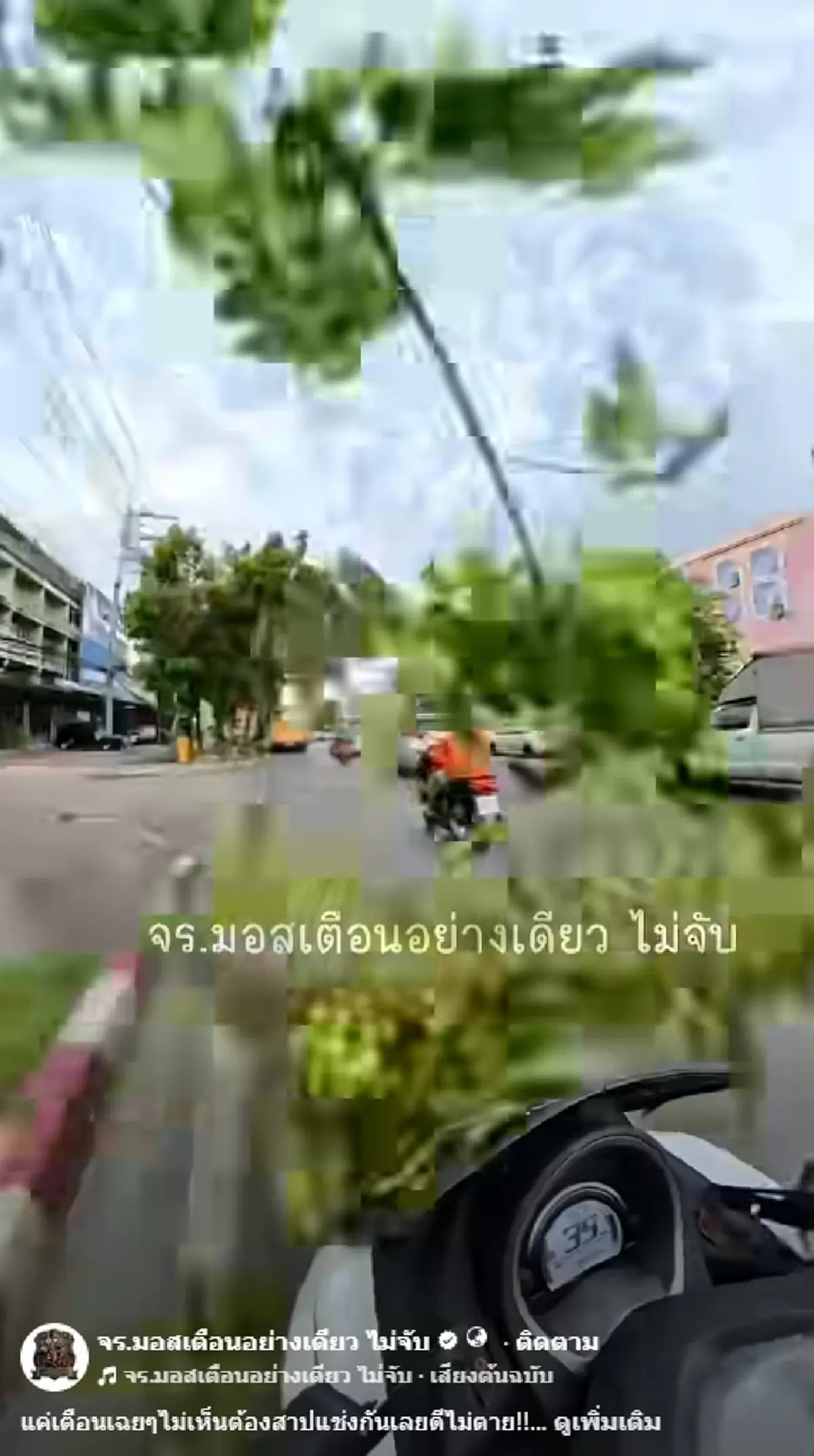 ทะเบียนรถ ตร.จราจรคนดัง โดนกิ่งไม้หล่นใส่ คนตาไวโฟกัสเลขหมวก