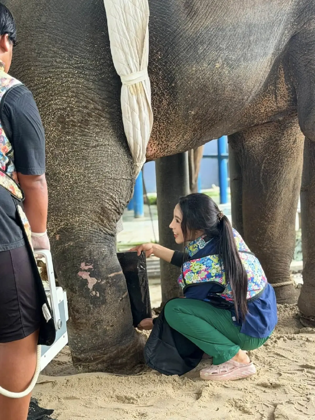 ปาฏิหาริย์มีจริง! อัปเดต "พี่เดียว" ช้างขาหัก 4 เดือน อาการดีขึ้น