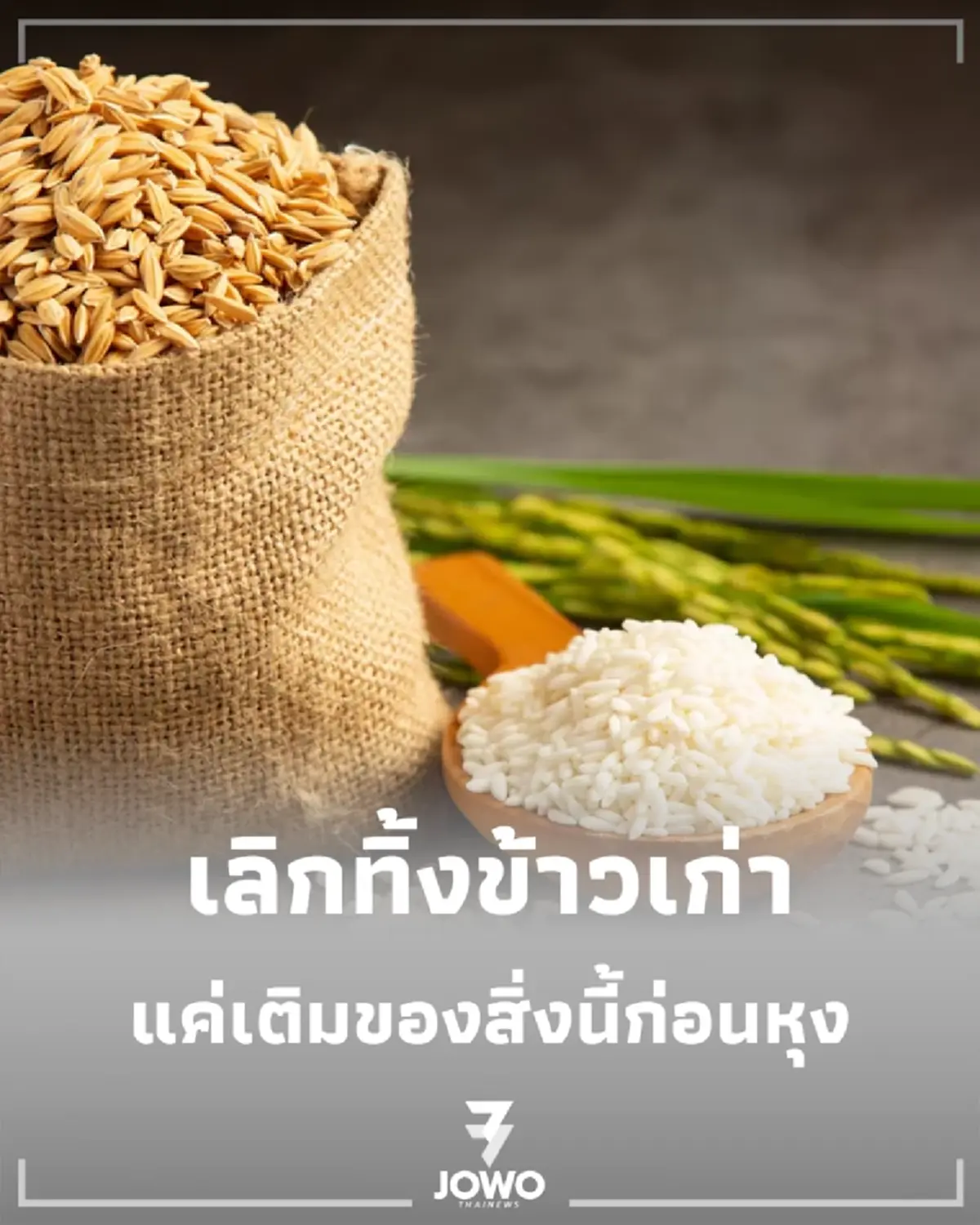 หุงข้าวเก่าทีไรแข็งทุกที ลองใช้สิ่งนี้ 1 ช้อนชา ข้าวสุกนุ่มเงาสวยจนน่าตกใจ