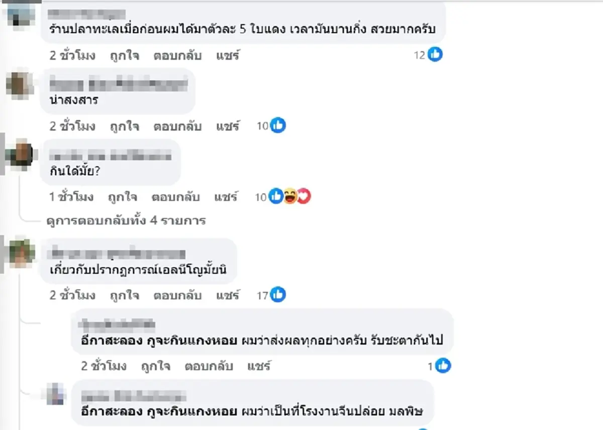 รู้แล้ว ตัวปริศนาสีชมพู เกยตื้นเกลื่อนหาดระยอง ที่แท้คืออะไร