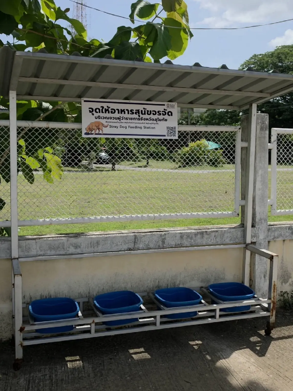 ภาพ  Facebook : ผู้ว่าฯสุโขทัย แก้ไขปัญหา&amp;ช่วยเหลือสุนัขจรจัด