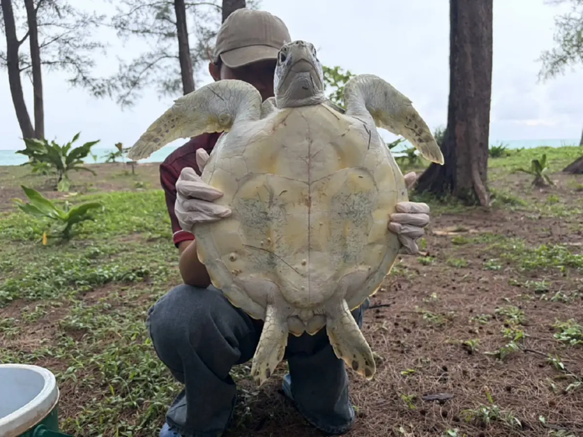ภาพ Facebook : อุทยานแห่งชาติเขาลำปี-หาดท้ายเหมือง