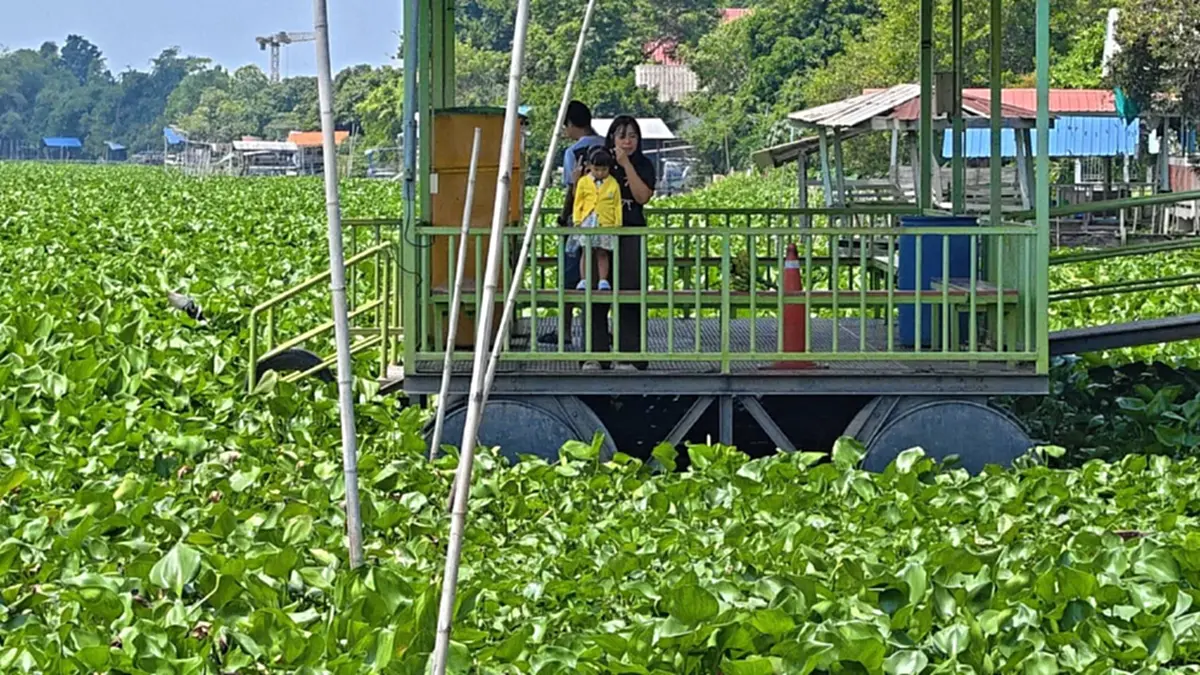 ผักตบชวาแน่นคลองปทุมฯ ชาวบ้านเดือดร้อนไร้เงาอบต.แก้ไข