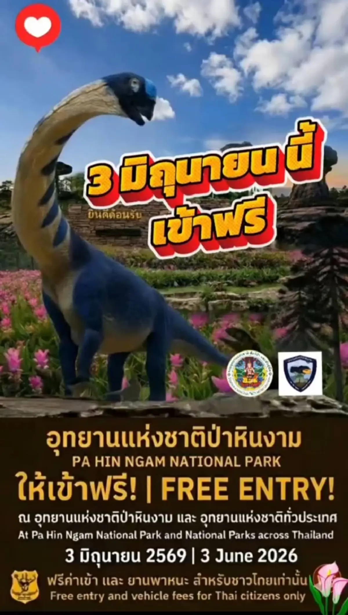 อุทยานแห่งชาติป่าหินงามเปิดเข้าฟรี 3 มิ.ย. ชมทุ่งดอกกระเจียวบาน