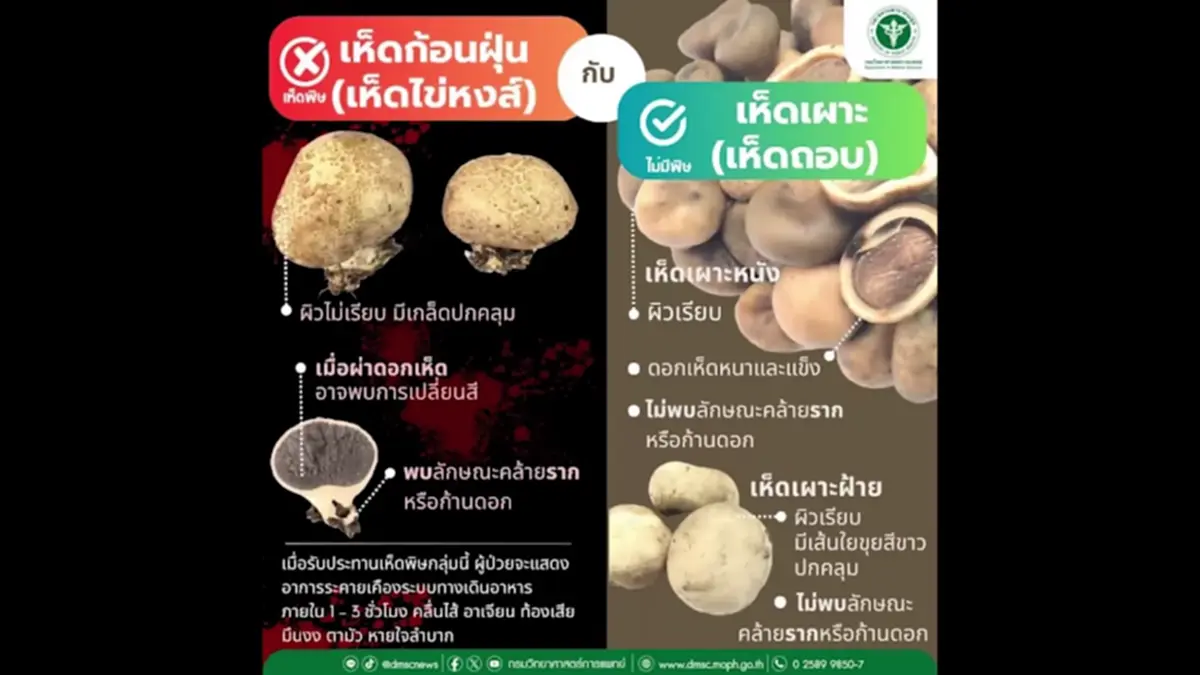 หาม 5 แรงงานพม่าส่ง รพ.ลำปาง หลังเปิบแกงเห็ดพิษบนดอยงาว