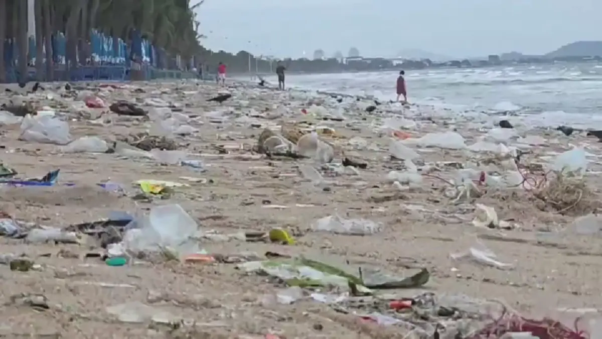บางแสนอ่วม! ขยะทะเลมหาศาลลอยเกยหาดรับหน้าฝน เทศบาลเร่งกวาดวุ่น