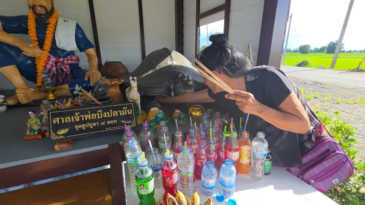 สายมูแห่ขอเลข เจ้าพ่อบึงปลามัน หลังคนดวงเฮงถูกรางวัลต่อเนื่อง
