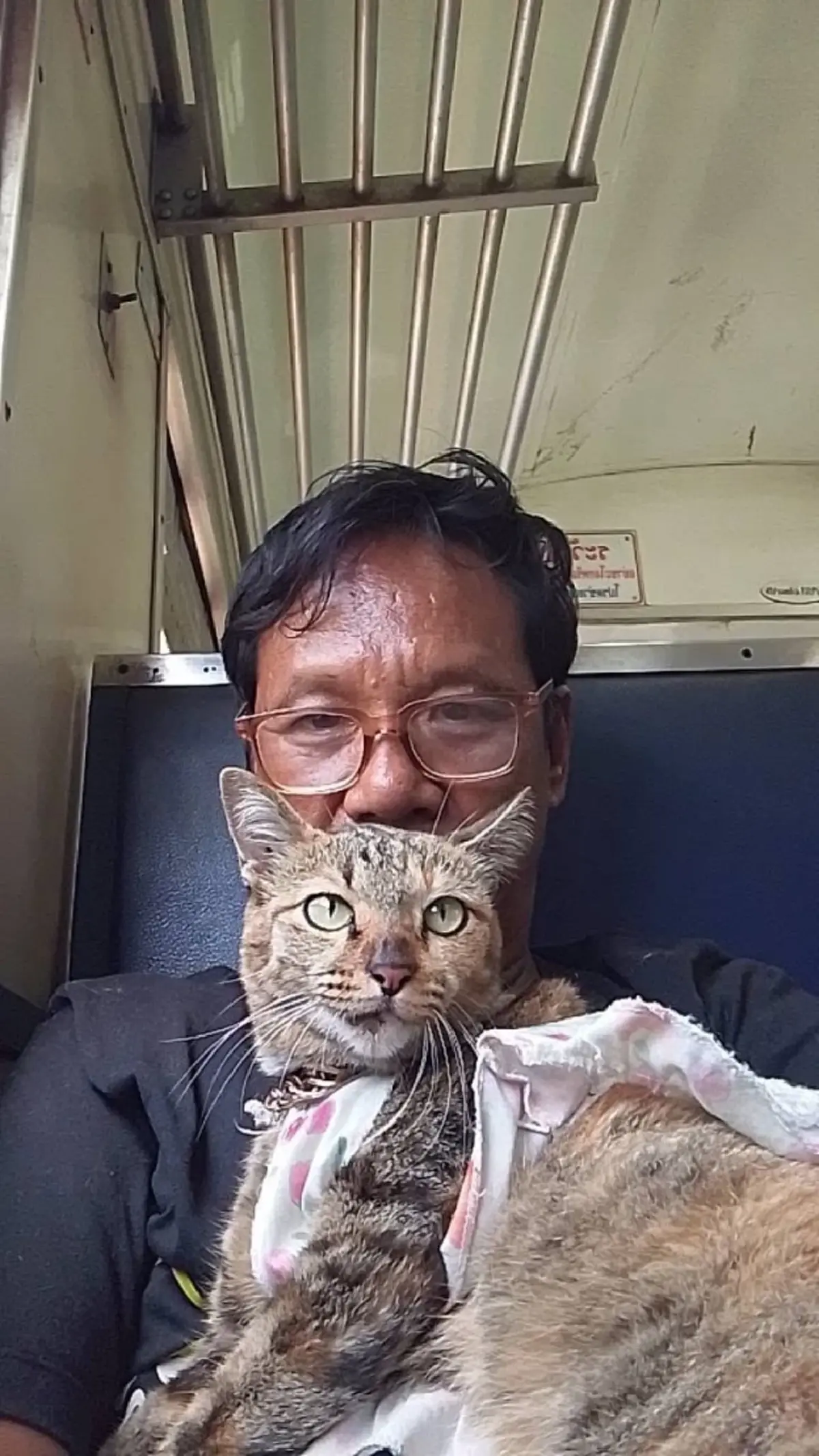 หัวใจของพ่อยังรอ เกือบเดือนลุงเฝ้าตามหา น้องแหวน แมวสุดรัก