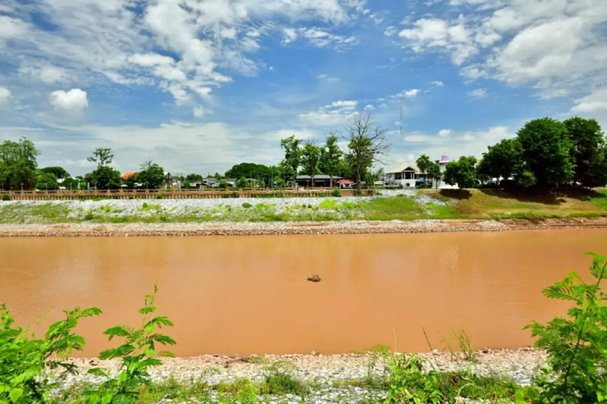 ฮือฮา! แม่น้ำน่านลดฮวบ เผยโฉม "ตะเคียนพันปี" กลางแม่น้ำ