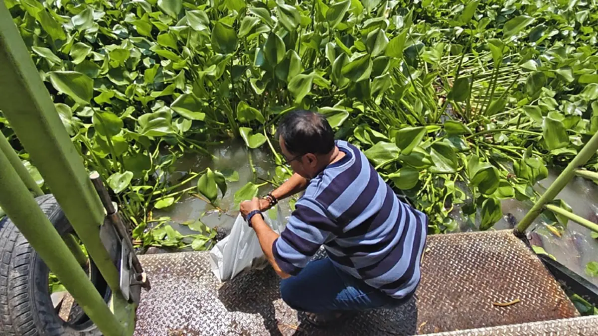 ผักตบชวาแน่นคลองปทุมฯ ชาวบ้านเดือดร้อนไร้เงาอบต.แก้ไข