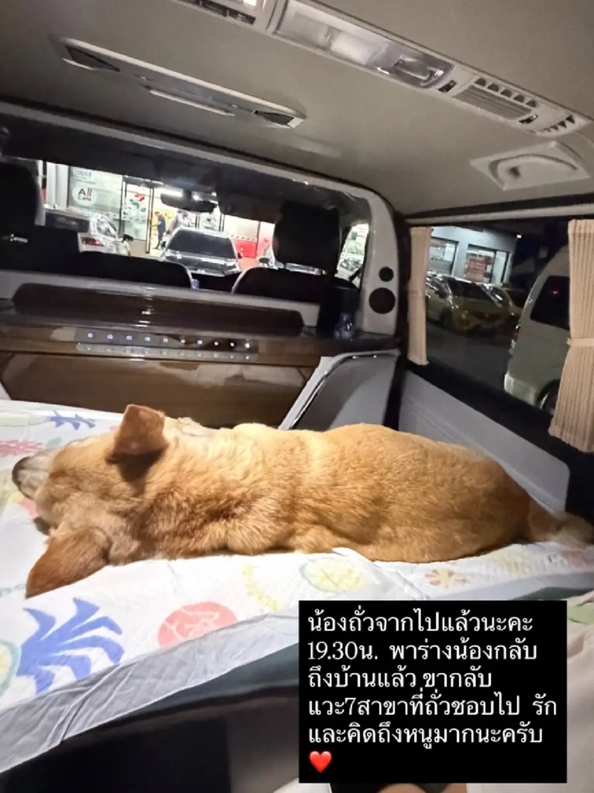 "อั้ม พัชราภา" เศร้าสูญเสีย "น้องถั่ว" ตอนเช้ายังป้อนขนมอยู่เลย