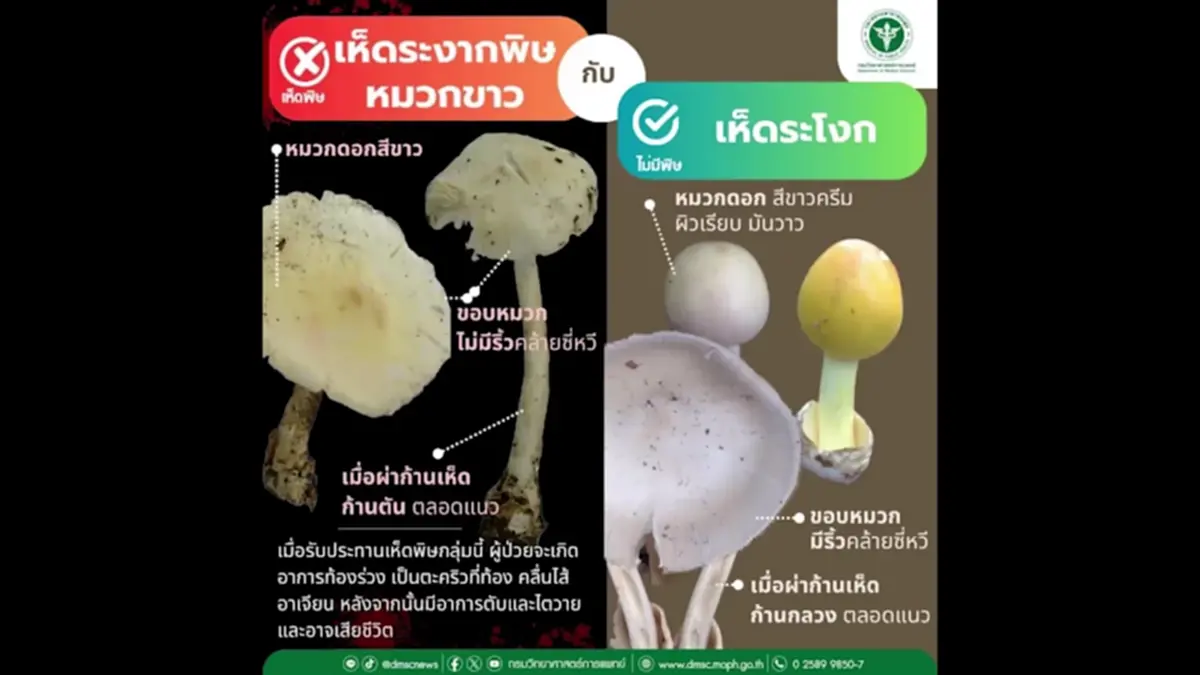 หาม 5 แรงงานพม่าส่ง รพ.ลำปาง หลังเปิบแกงเห็ดพิษบนดอยงาว