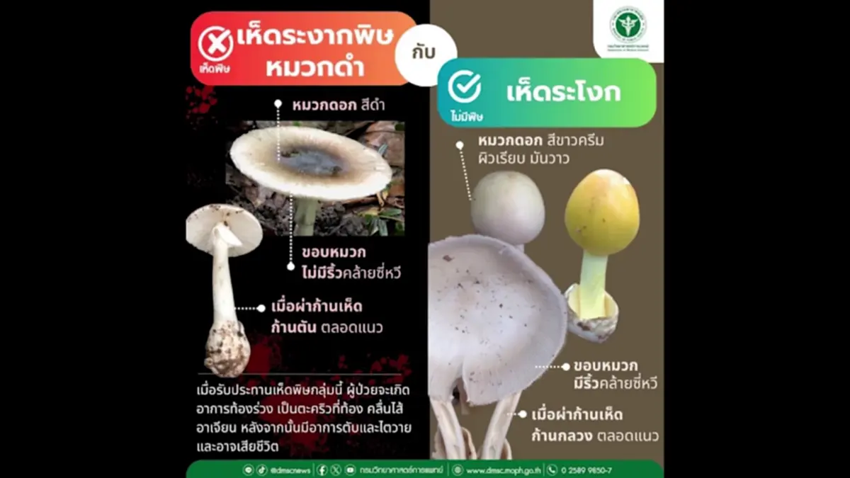 หาม 5 แรงงานพม่าส่ง รพ.ลำปาง หลังเปิบแกงเห็ดพิษบนดอยงาว