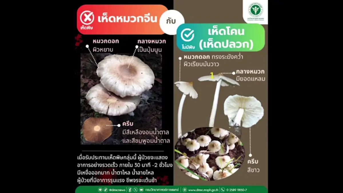 หาม 5 แรงงานพม่าส่ง รพ.ลำปาง หลังเปิบแกงเห็ดพิษบนดอยงาว