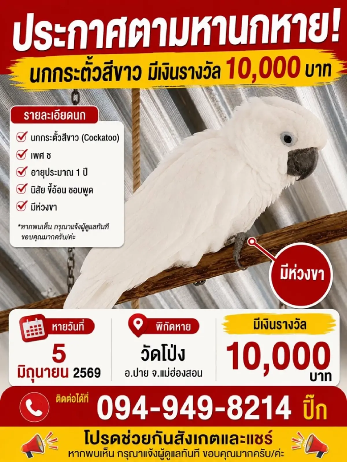 ประกาศตามหา "นกหาย" ใครเจอมีรางวัลให้ 10,000 เผยพิกัดสุดท้ายชัด