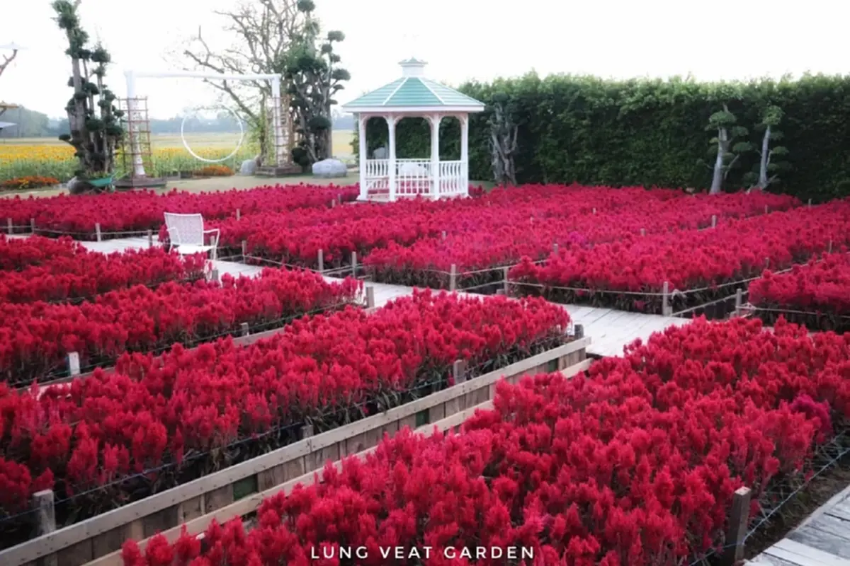 เศร้า สวนดอกไม้ชื่อดัง ประกาศปิดสวน รู้สาเหตุสุดเสียดาย
