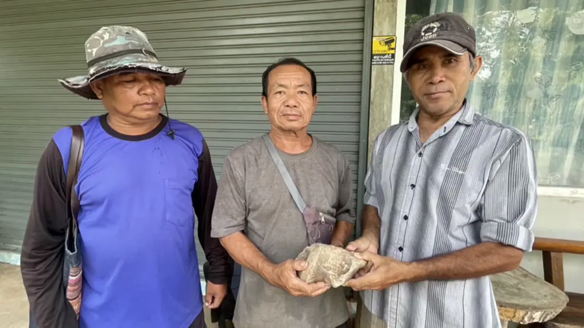 พบวัตถุคล้ายฟอสซิลไดโนเสาร์บนภูผาด่าง จ่อส่งผู้เชี่ยวชาญตรวจ