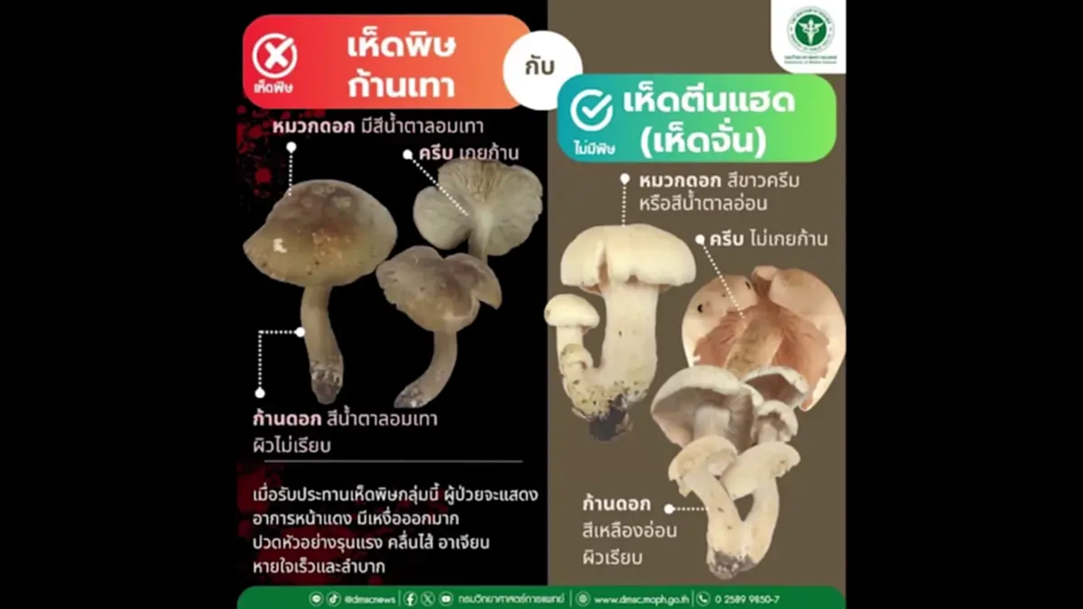 หาม 5 แรงงานพม่าส่ง รพ.ลำปาง หลังเปิบแกงเห็ดพิษบนดอยงาว