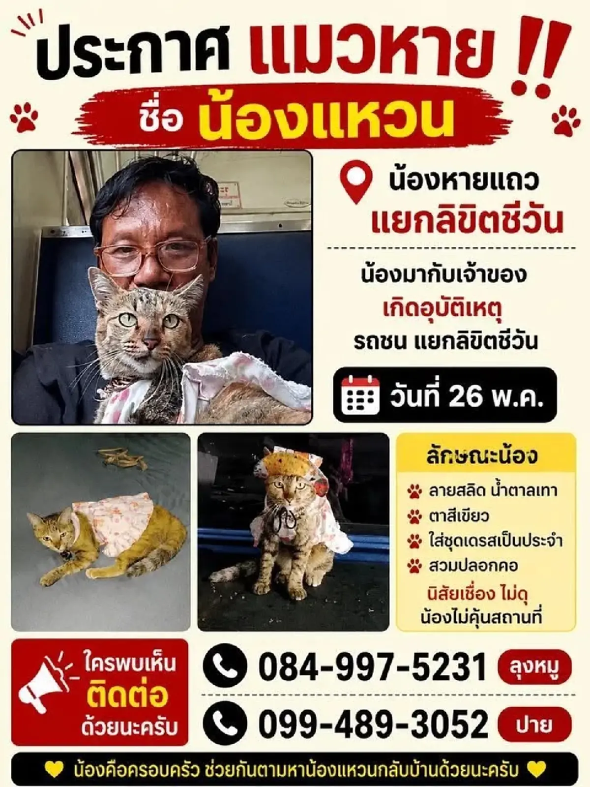หัวใจของพ่อยังรอ เกือบเดือนลุงเฝ้าตามหา น้องแหวน แมวสุดรัก