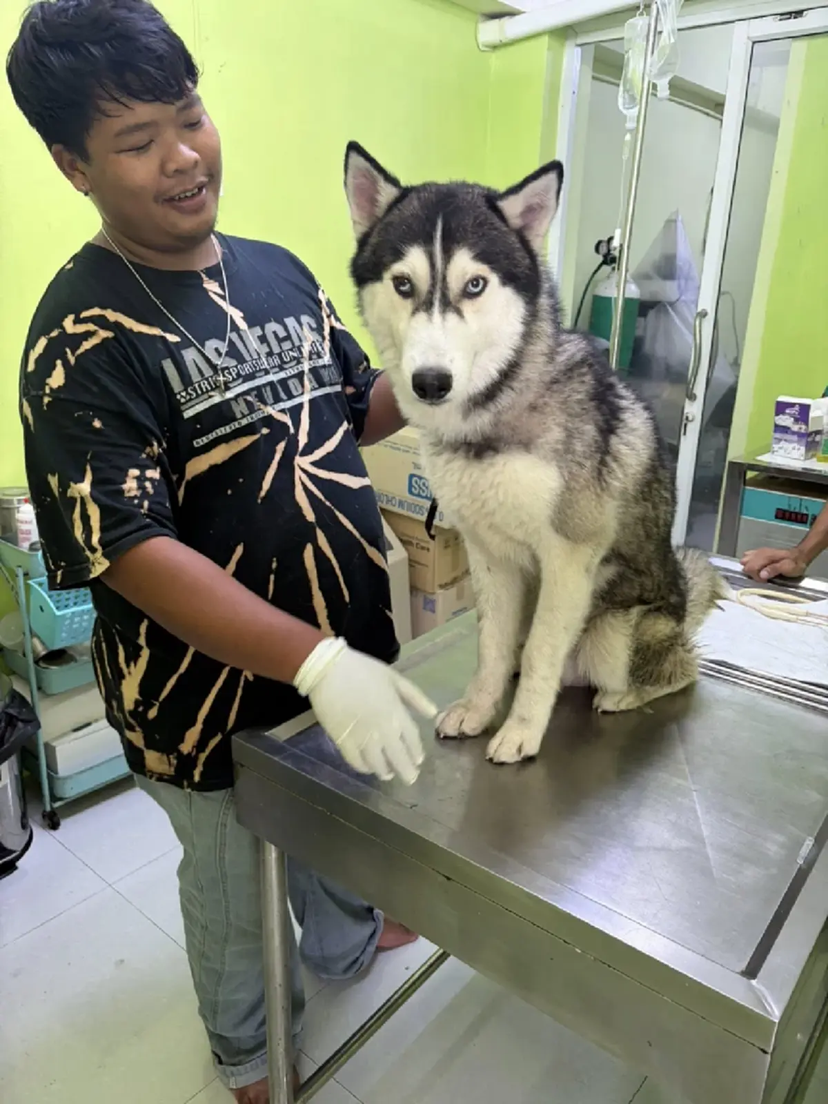 รอดแล้ว ไซบีเรียนถูกทิ้งบ้านร้าง ชื่อสุดเท่ บ้านใหม่ไม่ธรรมดา