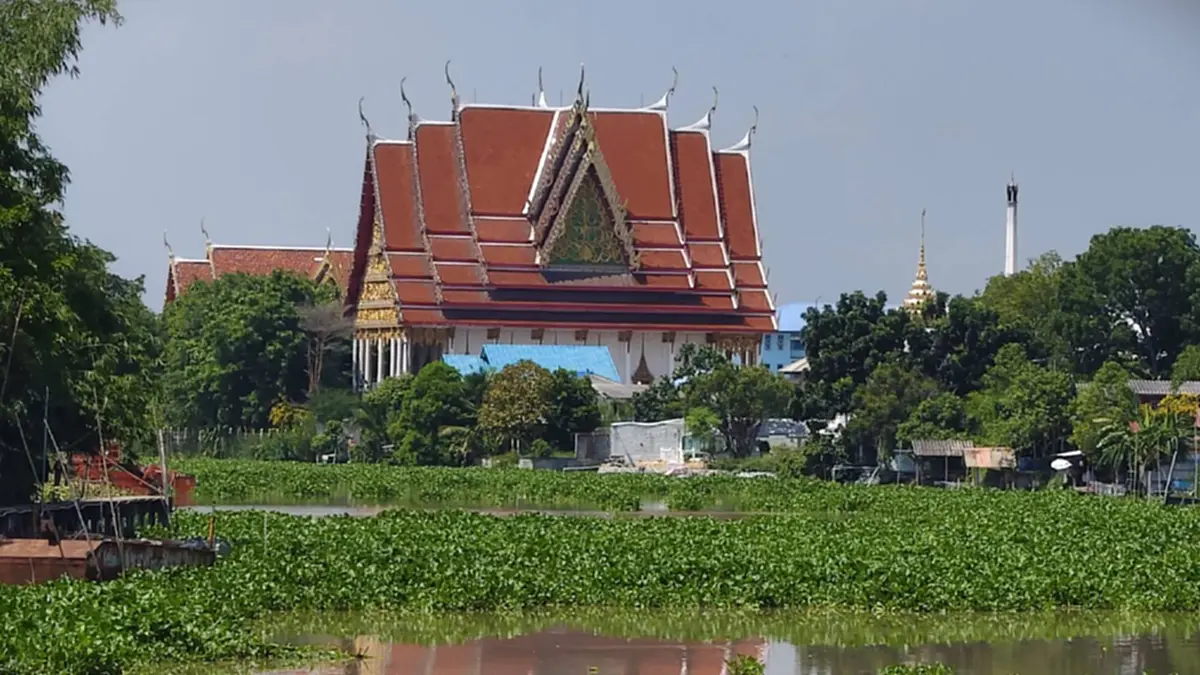ผักตบชวาแน่นคลองปทุมฯ ชาวบ้านเดือดร้อนไร้เงาอบต.แก้ไข