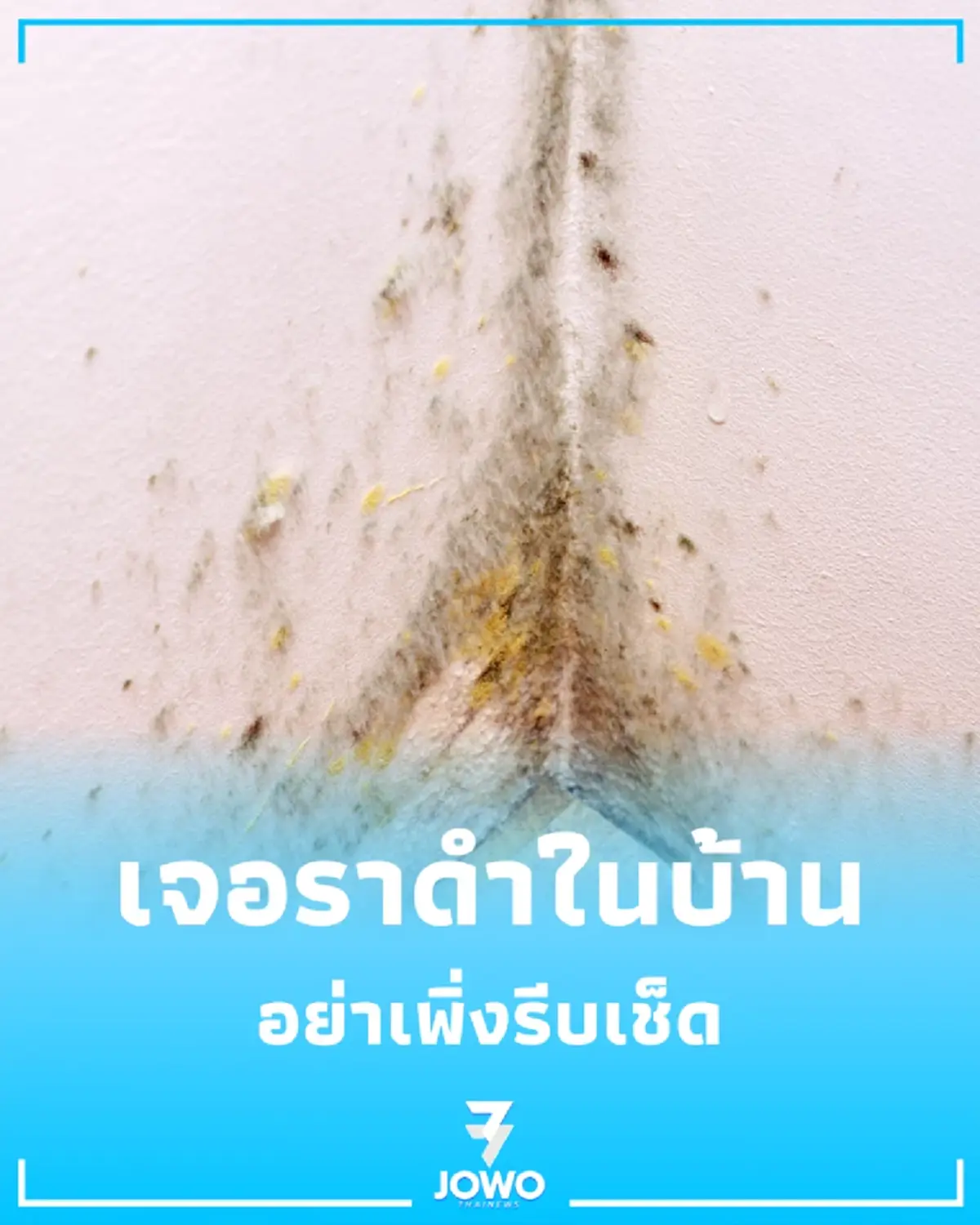 เห็นคราบราดำ บนผนังบ้านช่วงหน้าฝน อย่าเพิ่งหยิบผ้าชุบน้ำไปเช็ด