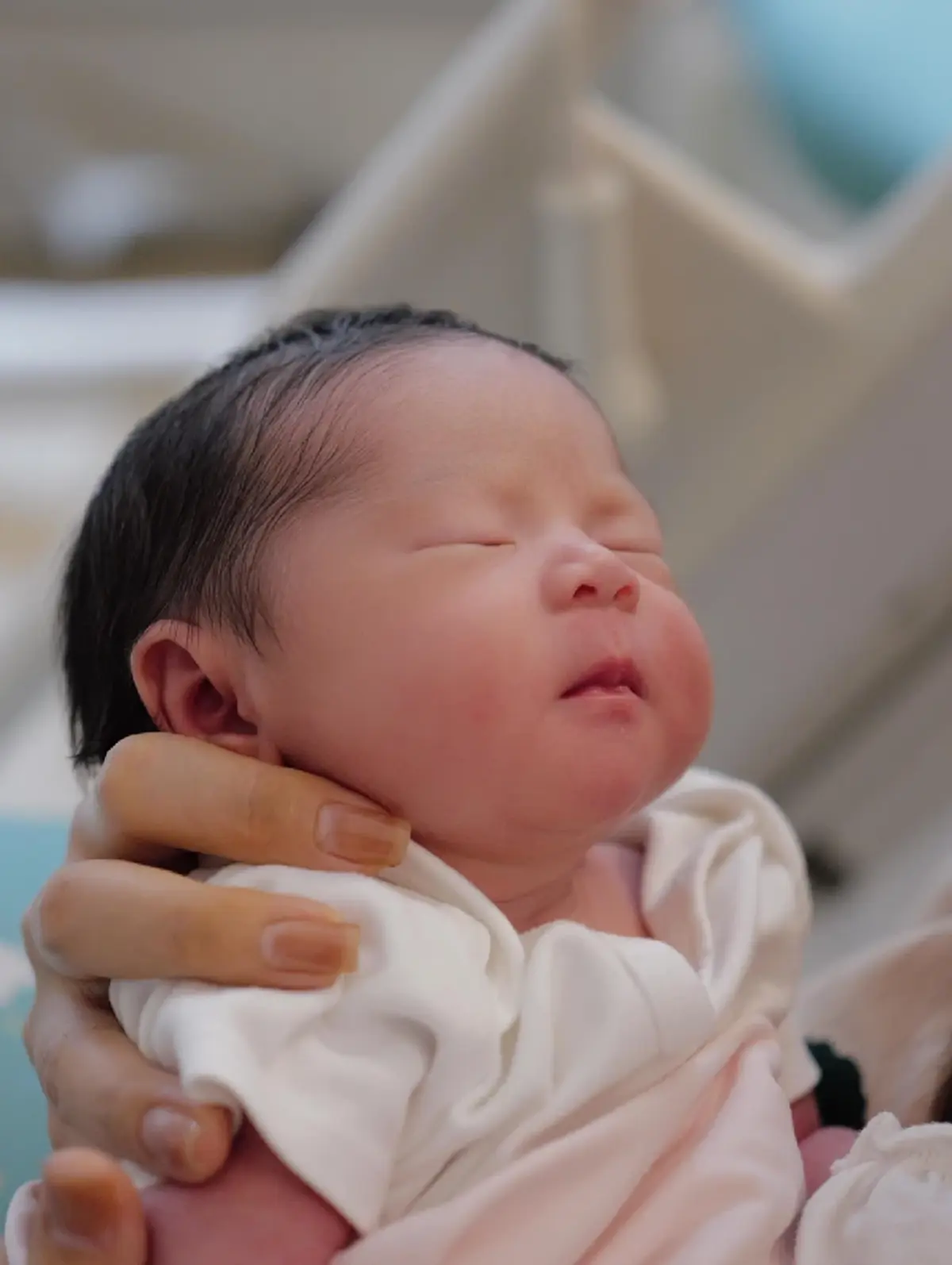 สายสตรอง! "ปุยฝ้าย AF4" คลอดลูกสาว "น้องชิลลี่" วิธีธรรมชาติ  