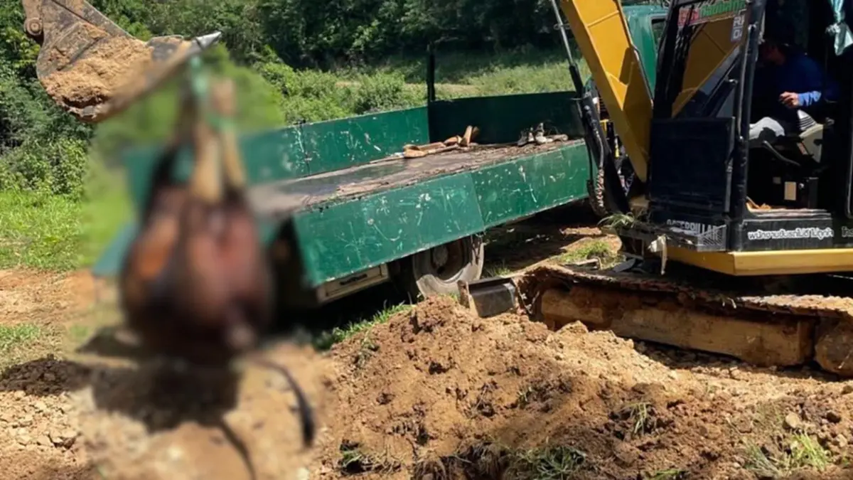 สังเวยอีก 1 ชีวิต กระบะคอกชนกระทิงป่าเพศเมียทับลานดับคาที่