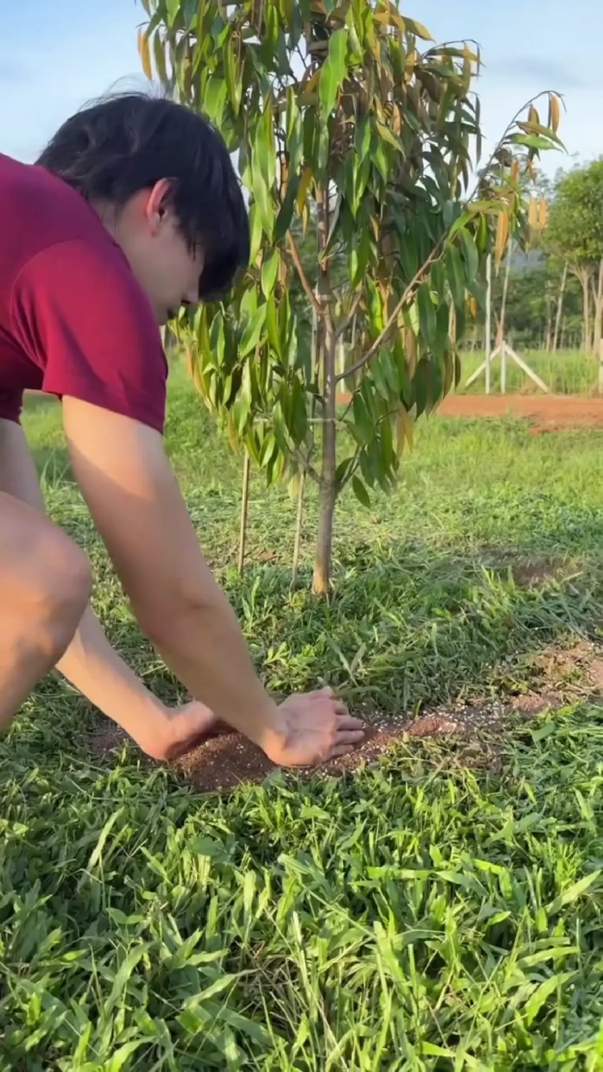 ว่าที่เศรษฐี  เคน ภูภูมิ  พาทัวร์สวนทุเรียน  ลุยใส่ปุ๋ยด้วยตัวเอง