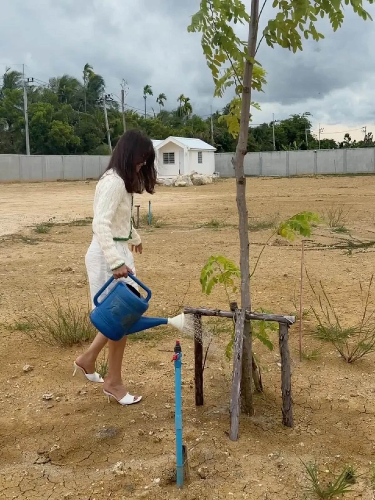 "แอน ทองประสม" อวดที่ดินผืนงาม แต่แฟนคลับหลุดโฟกัสสิ่งนี้ 
