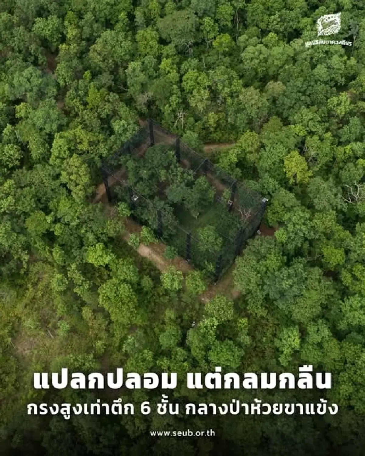 ตึก 6 ชั้น กลางป่าห้วยขาแข้ง เขตรักษาพันธุ์สัตว์ป่า
