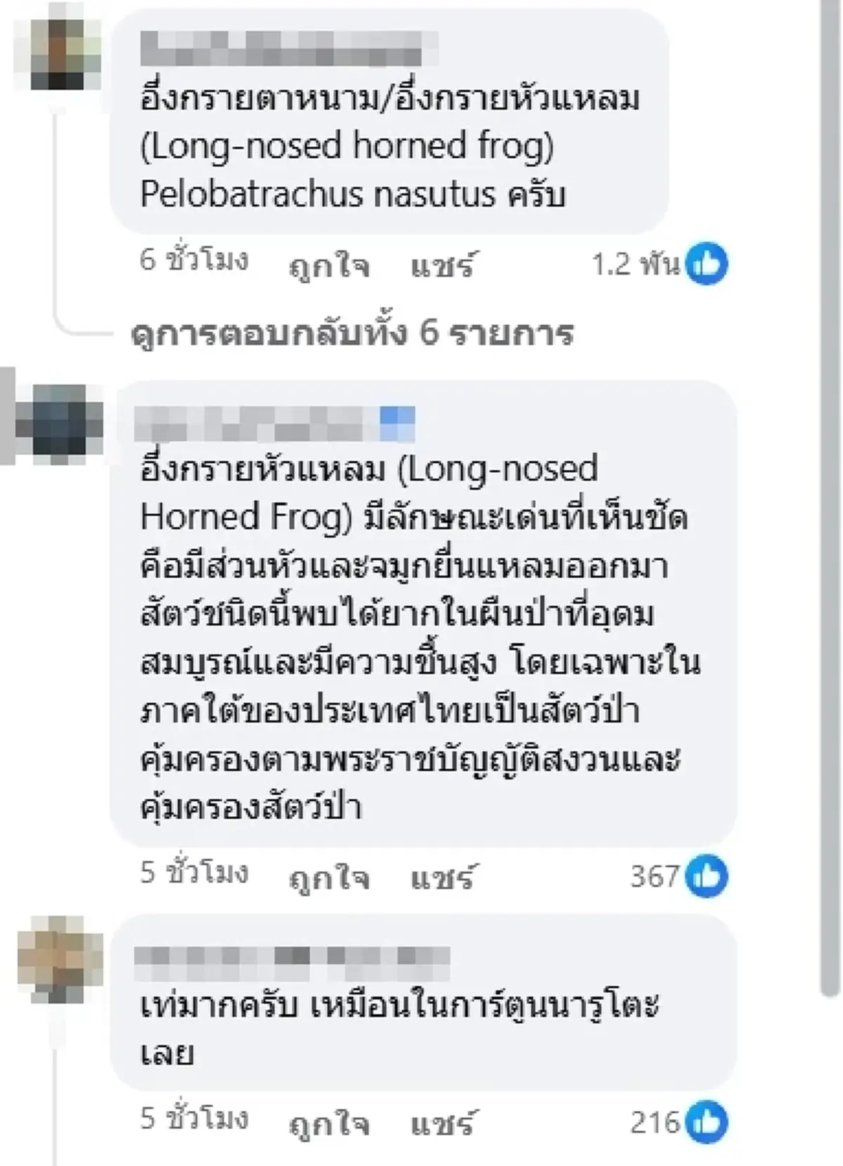 รู้แล้วตัวอะไร หนุ่มเจอตัวแปลกๆในสวน ที่แท้สัตว์คุ้มครองหายาก