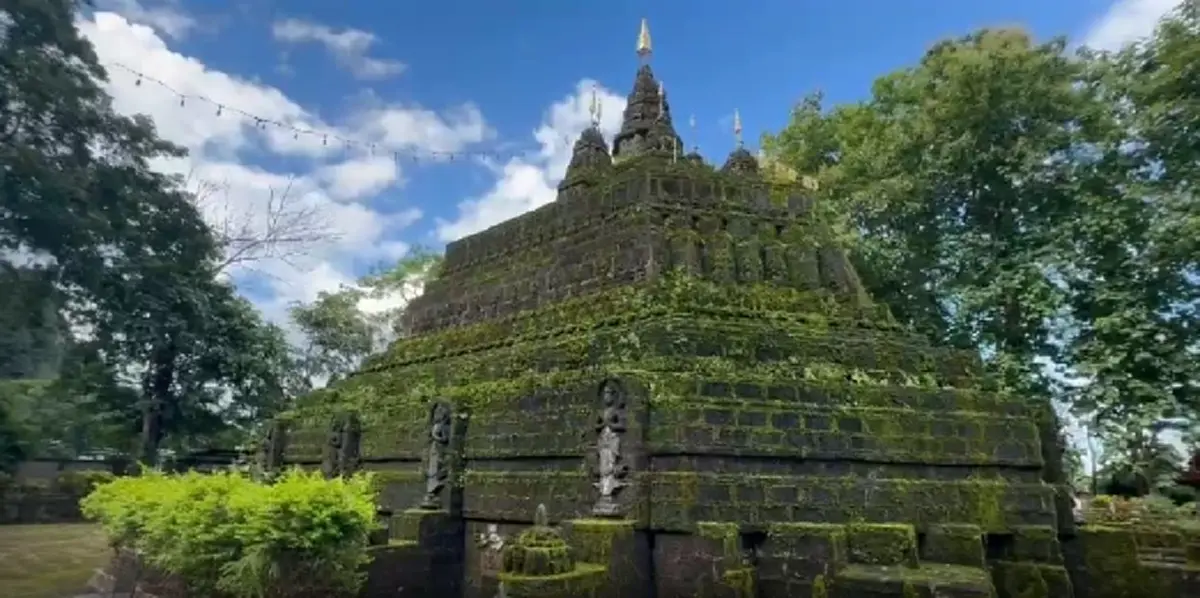 ปีละครั้ง! พระธาตุถูกมอส-เฟิร์นปกคลุม สวยราวภาพในเทพนิยาย