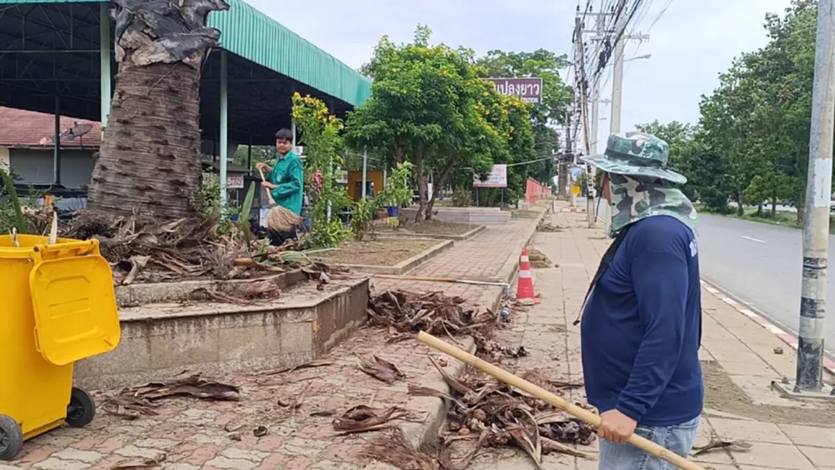 ฮือฮาทั้งแปลงยาว! ค้างคาวร่วงนับร้อยพร้อมใบตาล ชาวบ้านแตกตื่น