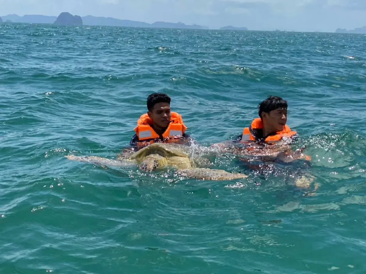 ที่มา/ภาพ Facebook : อุทยานแห่งชาติหาดนพรัตน์ธารา-หมู่เกาะพีพี