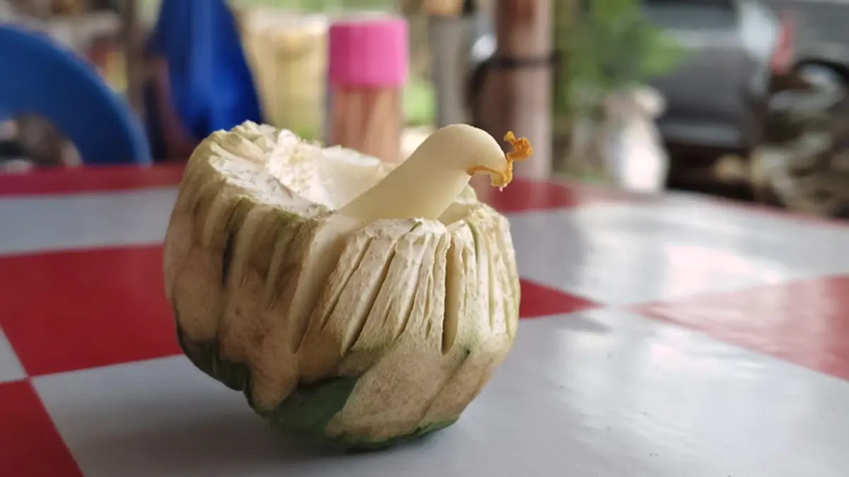 ผ่ามะละกอถึงกับอึ้ง! เจอของแปลกในลูก คล้ายหัวไก่-พญานาค