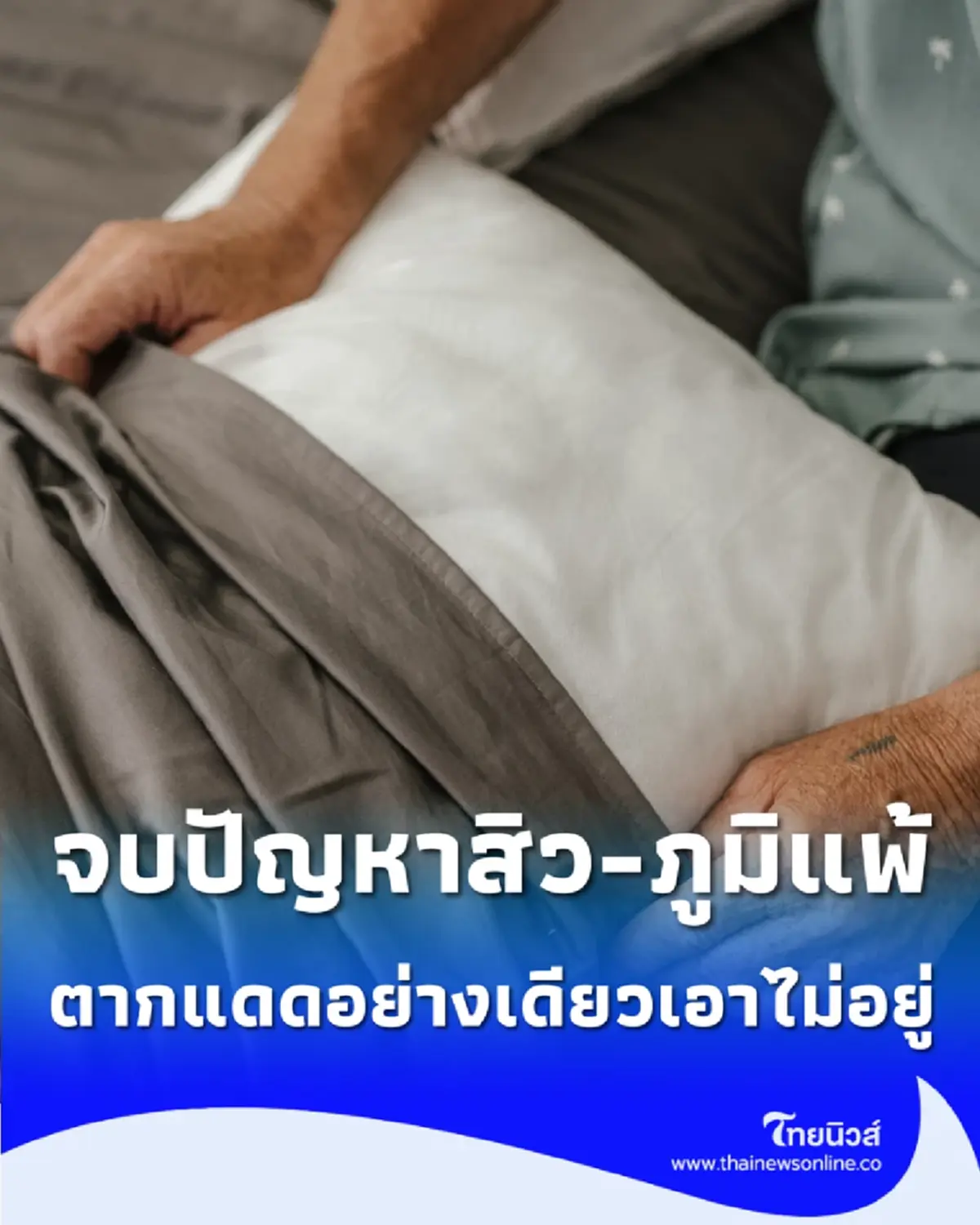 เปิดวิธีซักหมอนและตุ๊กตาซ่อนไรฝุ่น ให้กลับมานุ่มฟูเหมือนใหม่