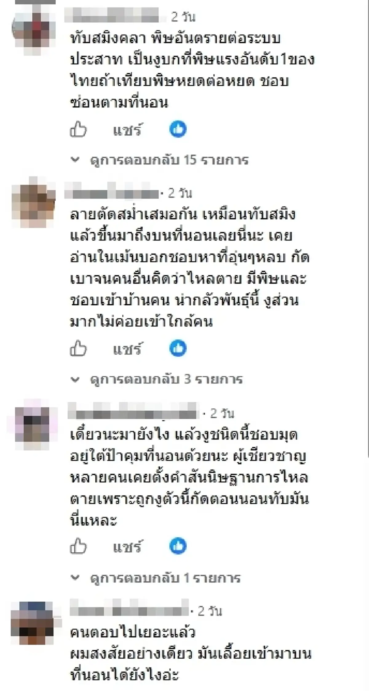สาวผวา เจองูปริศนาซุกบนที่นอน ชาวเน็ตเตือน พิษร้ายที่สุดในไทย
