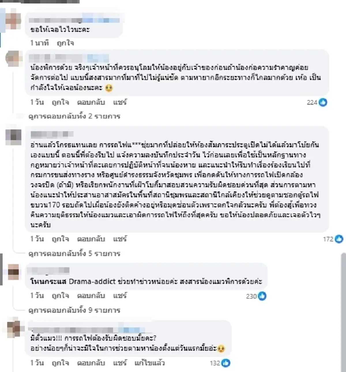 ใจแทบสลาย เจ้าของแจงความจริง ดราม่า "แมวพิการ" หายบนรถไฟ