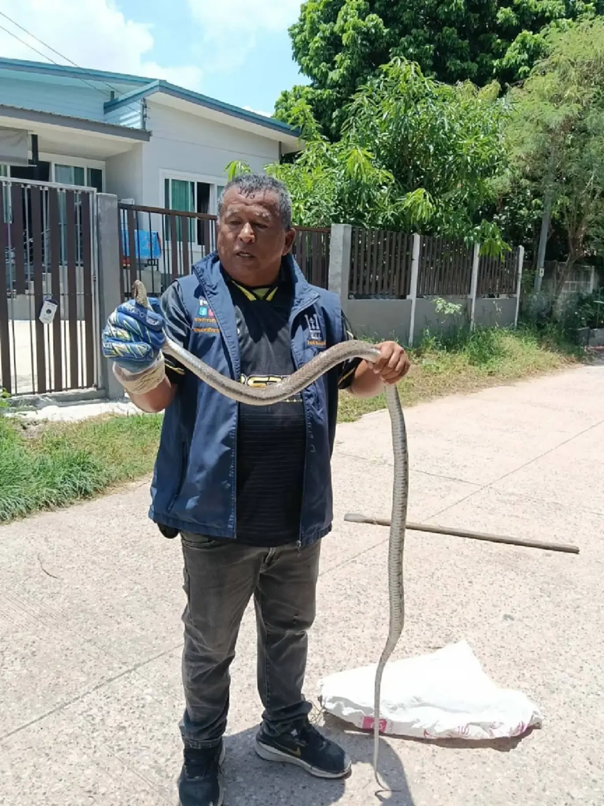 ส่องบ้านเลขที่ งูสิงตัวใหญ่ ยาว 2 เมตร เลื้อยเข้าบ้านวันพระใหญ่